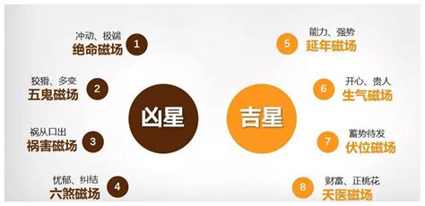 延年加伏位|再次深究延年加伏位磁場